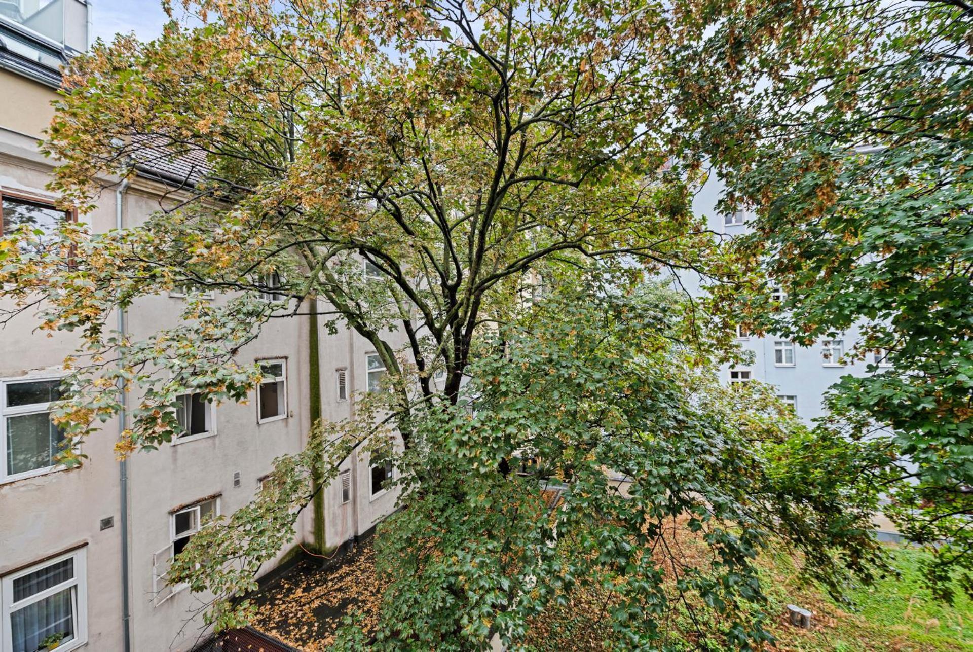 Cozy, Generous City Apartment - 10 Min To City-Centre - Contactless 24H Check-In Вена Экстерьер фото